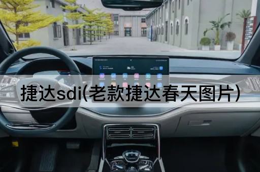 捷达sdi(老款捷达春天图片)