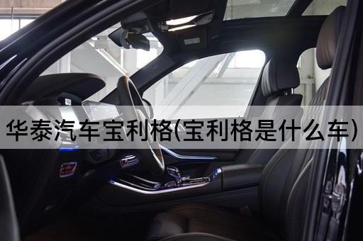 华泰汽车宝利格(宝利格是什么车)
