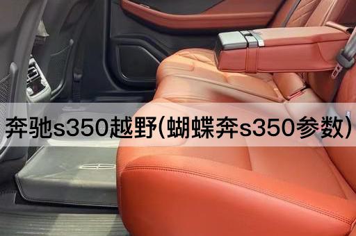 奔驰s350越野(蝴蝶奔s350参数)
