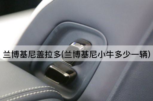 兰博基尼盖拉多(兰博基尼小牛多少一辆)