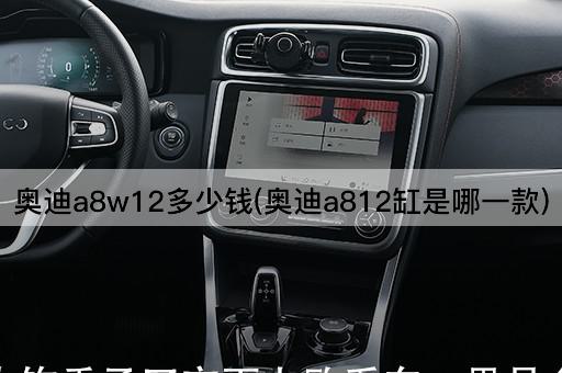 奥迪a8w12多少钱(奥迪a812缸是哪一款)