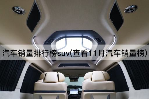 汽车销量排行榜suv(查看11月汽车销量榜)
