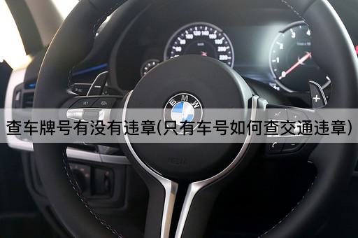 查车牌号有没有违章(只有车号如何查交通违章)