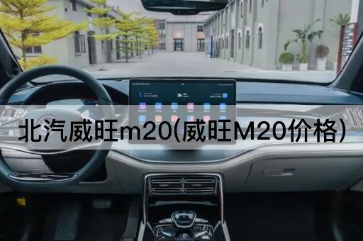 北汽威旺m20(威旺M20价格)