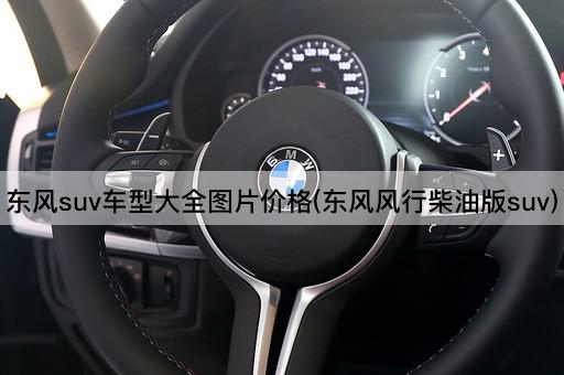 东风suv车型大全图片价格(东风风行柴油版suv)