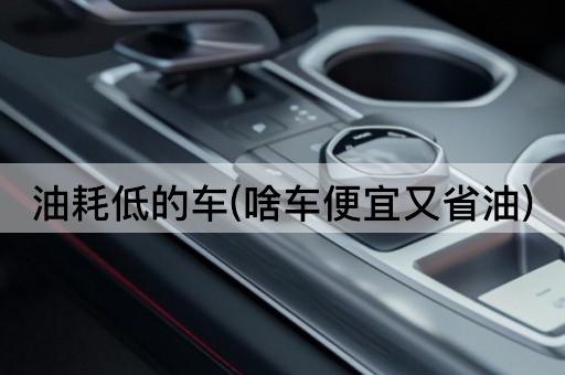 油耗低的车(啥车便宜又省油)