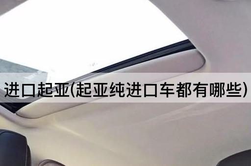 进口起亚(起亚纯进口车都有哪些)
