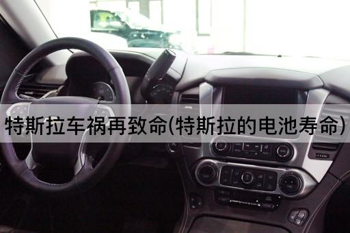 特斯拉车祸再致命(特斯拉的电池寿命)