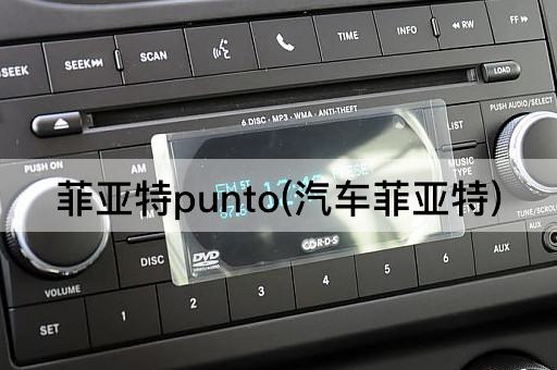 菲亚特punto(汽车菲亚特)