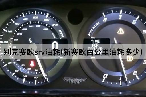 别克赛欧srv油耗(新赛欧百公里油耗多少)