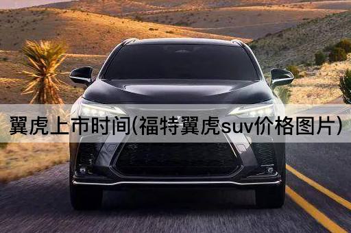 翼虎上市时间(福特翼虎suv价格图片)