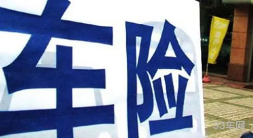 人寿车险建议买吗(中国车险最好十大排名表)