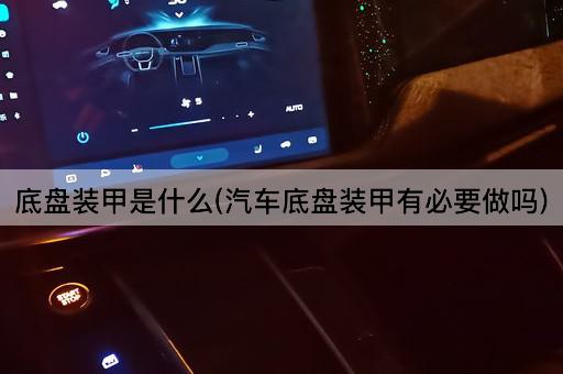 底盘装甲是什么(汽车底盘装甲有必要做吗)