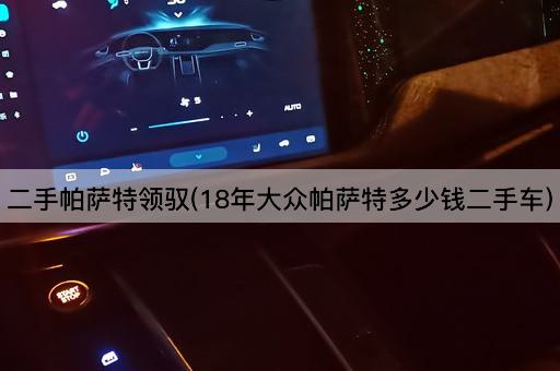 二手帕萨特领驭(18年大众帕萨特多少钱二手车)