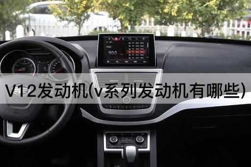 V12发动机(v系列发动机有哪些)