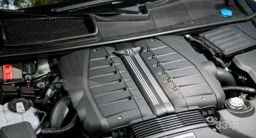 v12厉害还是w12厉害(奥迪a8lw12顶配豪华版)