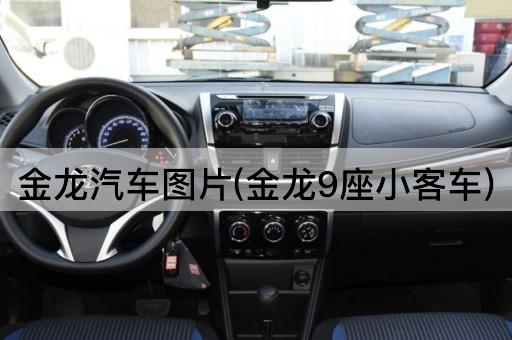 金龙汽车图片(金龙9座小客车)