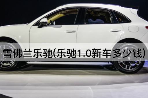 雪佛兰乐驰(乐驰1.0新车多少钱)