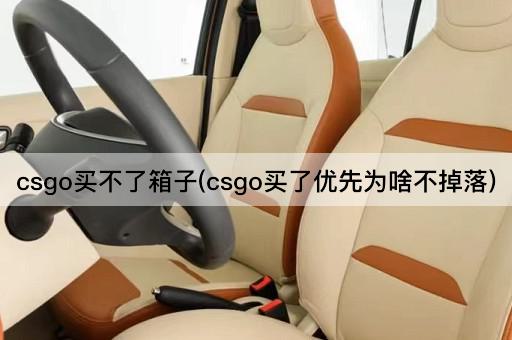 csgo买不了箱子(csgo买了优先为啥不掉落)