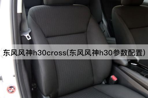 东风风神h30cross(东风风神h30参数配置)