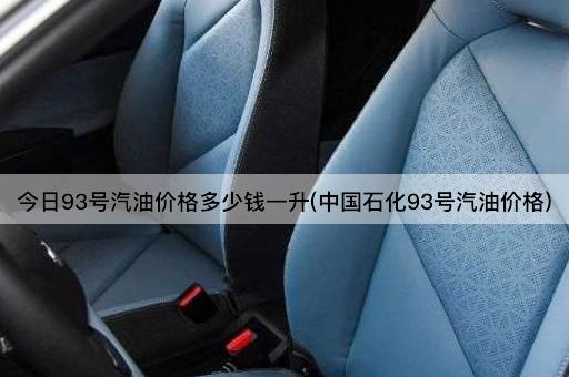 今日93号汽油价格多少钱一升(中国石化93号汽油价格)