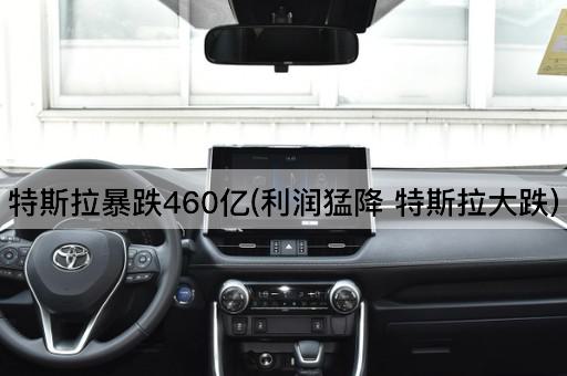 特斯拉暴跌460亿(利润猛降 特斯拉大跌)
