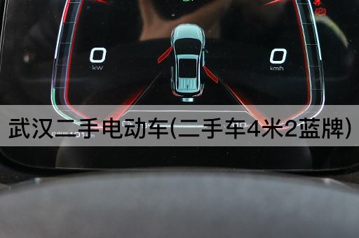 武汉二手电动车(二手车4米2蓝牌)