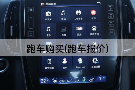 跑车购买(跑车报价)