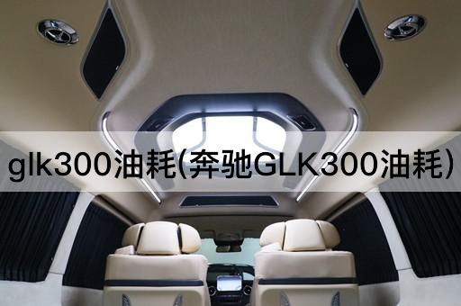 glk300油耗(奔驰GLK300油耗)