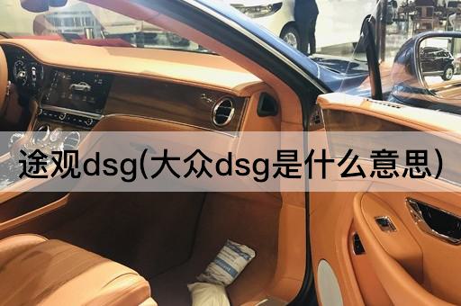 途观dsg(大众dsg是什么意思)