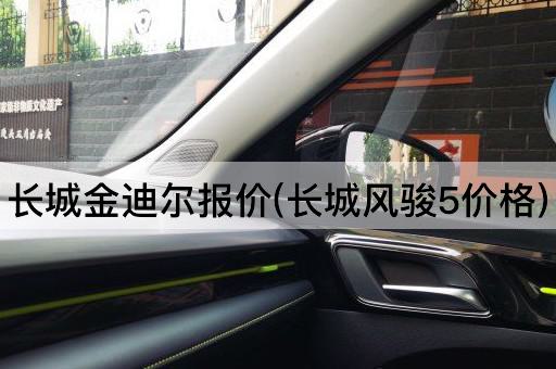 长城金迪尔报价(长城风骏5价格)
