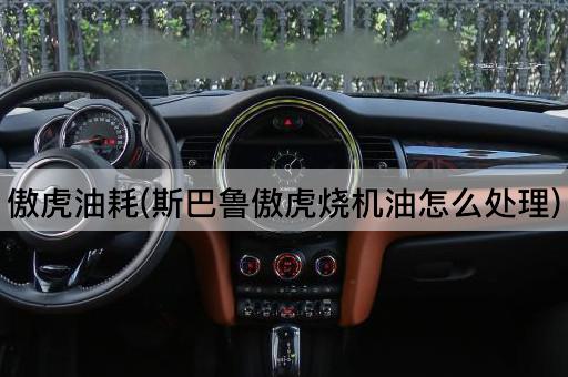 傲虎油耗(斯巴鲁傲虎烧机油怎么处理)