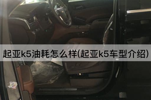起亚k5油耗怎么样(起亚k5车型介绍)