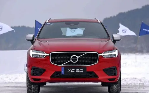 国产一二线品牌suv有哪些(尺码最大的国产suv)