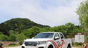 长城皮卡车价格大全柴油(二手柴油皮卡车)