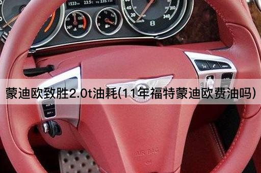 蒙迪欧致胜2.0t油耗(11年福特蒙迪欧费油吗)