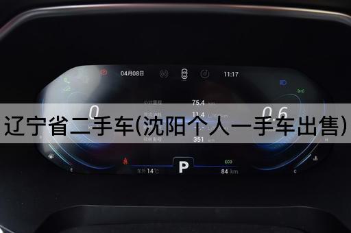 辽宁省二手车(沈阳个人一手车出售)