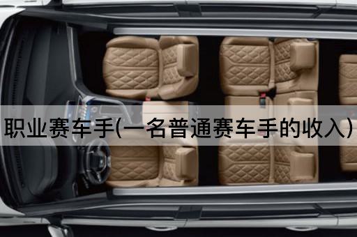 职业赛车手(一名普通赛车手的收入)