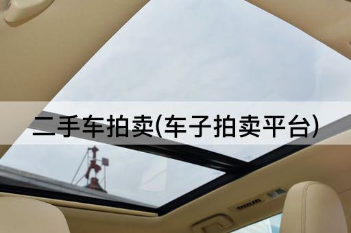 二手车拍卖(车子拍卖平台)