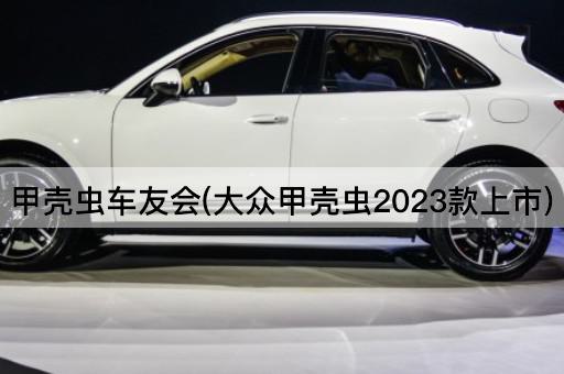 甲壳虫车友会(大众甲壳虫2023款上市)