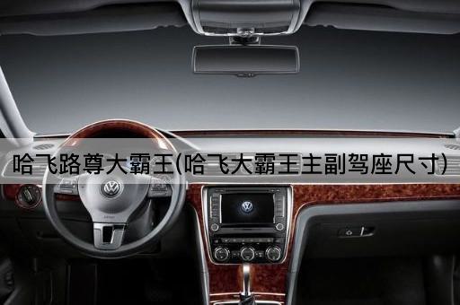 哈飞路尊大霸王(哈飞大霸王主副驾座尺寸)