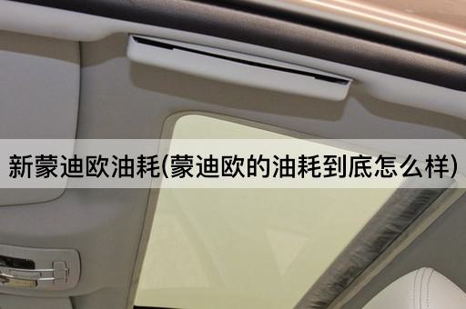 新蒙迪欧油耗(蒙迪欧的油耗到底怎么样)