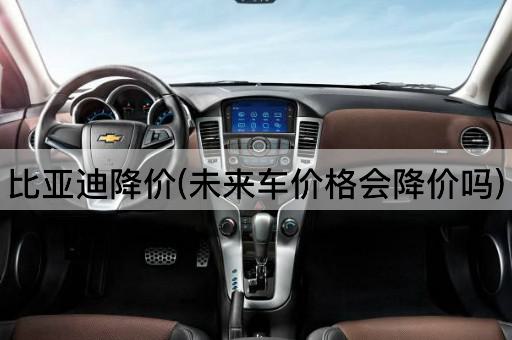 比亚迪降价(未来车价格会降价吗)