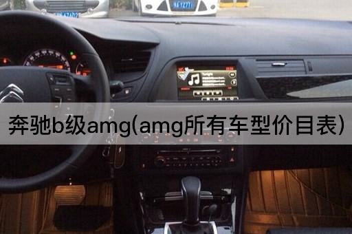 奔驰b级amg(amg所有车型价目表)