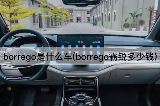 borrego是什么车(borrego霸锐多少钱)