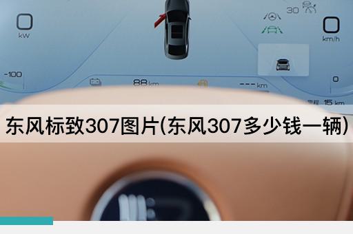 东风标致307图片(东风307多少钱一辆)