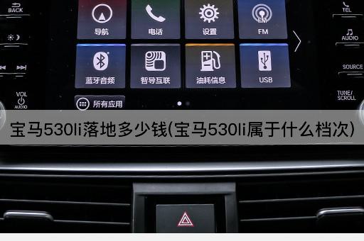 宝马530li落地多少钱(宝马530li属于什么档次)