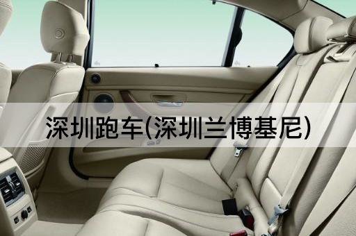 深圳跑车(深圳兰博基尼)