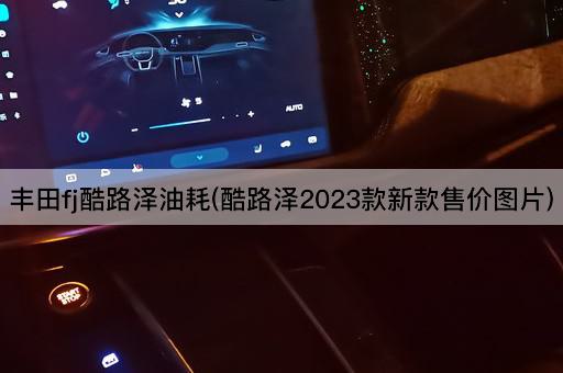 丰田fj酷路泽油耗(酷路泽2023款新款售价图片)