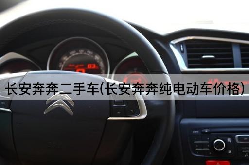 长安奔奔二手车(长安奔奔纯电动车价格)